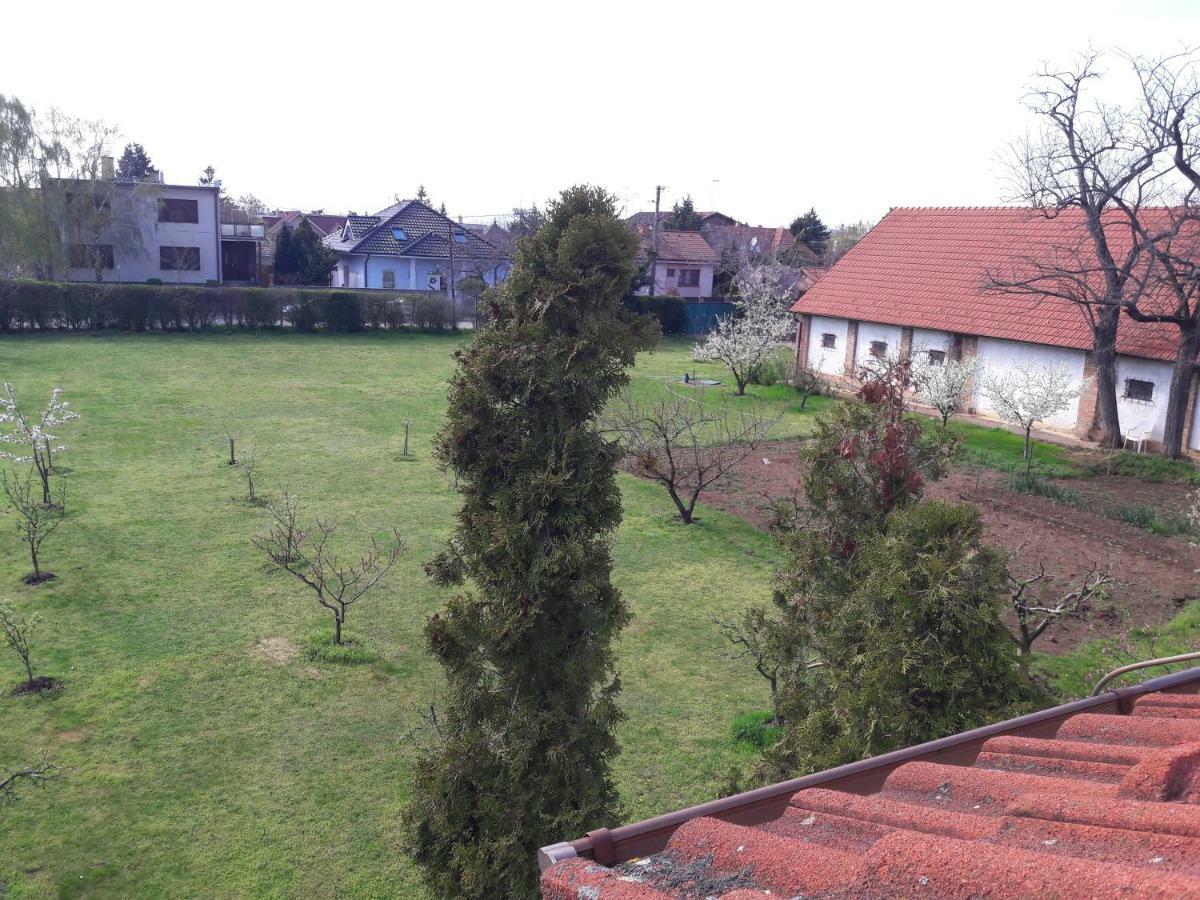 Villa Kysucka Senec Exterior photo